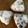 ３匹の大ぶたママ's cooksnap of when they made 簡単わかめごはん！.
