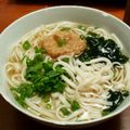 llewellyn's cooksnap of when they made 自家製甘辛あげのきつねうどん.