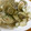 低カロ探検隊's cooksnap of when they made あさりとエリンギの酒蒸し〜イカも♩.