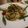 にゃんまげ☆'s cooksnap of when they made 鰹のタタキとバルサミコの冷製パスタ.