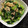 そらくんの母's cooksnap of when they made 小松菜と油揚げのシーチキン炒め.