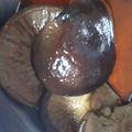 りょうべい's cooksnap of when they made 椎茸の佃煮 ♡.