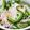 クックI2IP8P☆'s cooksnap of when they made ゴーヤとハムde簡単マリネ.