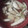 ちぃママ☆ミ's cooksnap of when they made マツタケの土瓶蒸し風お吸い物。.