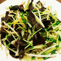 Meguminomy's cooksnap of when they made きくらげと豆苗の生姜炒め.