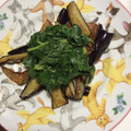 sakutakuhitoshu's cooksnap of when they made とろりんつるん✿蒸し茄子のモロヘイヤかけ.