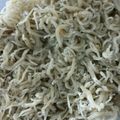 トリノオリンピック☆'s cooksnap of when they made ちりめんじゃこの保存.