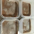 ビスビスビスケ's cooksnap of when they made 簡単！濃厚！ミルクチョコ☆プリンゼリー♪.