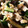 あかますこ's cooksnap of when they made 鶏ささみと茄子の酢醤油和え.