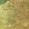 たぁこヨネ's cooksnap of when they made ウニ アボカド 簡単 ソース.