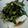 sayav-.-v.'s cooksnap of when they made ♪さっぱりいただく豆腐サラダ♪.