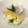 まくまくのちぃ's cooksnap of when they made あっと言う間に手毬寿司！.