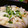 yun__i's cooksnap of when they made 簡単！煮込みうどん★.