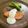 ☆Rokko☆'s cooksnap of when they made 白ソース◎サーモンムニエル.