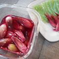 kana叶's cooksnap of when they made 茗荷の赤梅酢漬け.