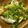 北端みはる's cooksnap of when they made 薄揚げと水菜のニンニク醤油.