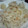 てろし's cooksnap of when they made しょうがごはん.