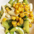 のりともちゅけ's cooksnap of when they made イカときゅうりの塩炒め.