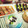 八朔's cooksnap of when they made 簡単♪エリンギの豚シソ巻き.