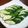 クック6DDPP8☆'s cooksnap of when they made 簡単！きゅうりの浅漬け.