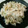 しむかっぷ's cooksnap of when they made 夏！アジとキュウリの混ぜ寿司.