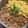 今日もニコッ☆'s cooksnap of when they made お父さんの2色鶏そぼろ丼！.