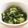 ♡タルト♡'s cooksnap of when they made きゅうりと大葉の酢の物.