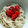 yuming219's cooksnap of when they made 簡単 ゴマだれぶっかけそうめん.