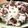 meg021411's cooksnap of when they made ぱぱっと簡単！ごちゃんの塩豚レモン丼.