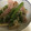 クックOEN6Y3☆'s cooksnap of when they made えのきといんげんのベーコンバター炒め.