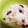 ☆lino☆lino's cooksnap of when they made 旨みたっぷりたこ飯.
