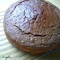ノリノリ♪♪♪'s cooksnap of when they made ほろ苦がうまぁ～♡ゴーヤのチョコケーキ♪.