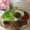 ナピト's cooksnap of when they made 塩麹の和風ジェノベーゼ.