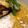こうしはは's cooksnap of when they made ノンオイルカレー.