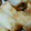 M0cook's cooksnap of when they made ささみと大葉の簡単春巻.