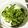 ✩mari✩'s cooksnap of when they made ゴーヤの塩昆布和え.