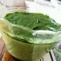 Hydenn♪'s cooksnap of when they made 抹茶ソースで食べる抹茶プリン.