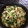 ディズニー2626☆'s cooksnap of when they made お弁当に簡単♡竹輪とピーマンのマヨ炒め♬.