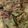 ナリンV8VV8T☆'s cooksnap of when they made さっぱり！キャベツのゆかり和え＊うま塩.