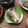 ミセスおおから's cooksnap of when they made みょうがの甘酢漬け.