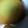 はるすずv's cooksnap of when they made レシピを必ず聞かれる私のバタークッキー.