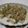 はちれ's cooksnap of when they made 豆腐のツナマヨ焼き.