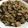 ＋SUN3's cooksnap of when they made 鶏ごぼうの炊き込みご飯.