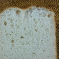 キムラキッチン's cooksnap of when they made 自家製酵母で シンプル食パン.