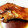 みずたま1616's cooksnap of when they made 魚の煮付け.