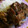 しょここ♡'s cooksnap of when they made 漬けて焼くだけ・鶏の照り焼き♪.