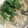 クックSDR1X5☆'s cooksnap of when they made 鮭とほうれん草の和風クリームパスタ.