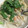 クックSDR1X5☆'s cooksnap of when they made 鮭とほうれん草の和風クリームパスタ.