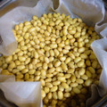 こぴょ's cooksnap of when they made 甘くて栄養ぎっしり♪蒸し大豆.