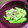 mapletreee's cooksnap of when they made さっぱり☆たたききゅうりのみょうが風味.